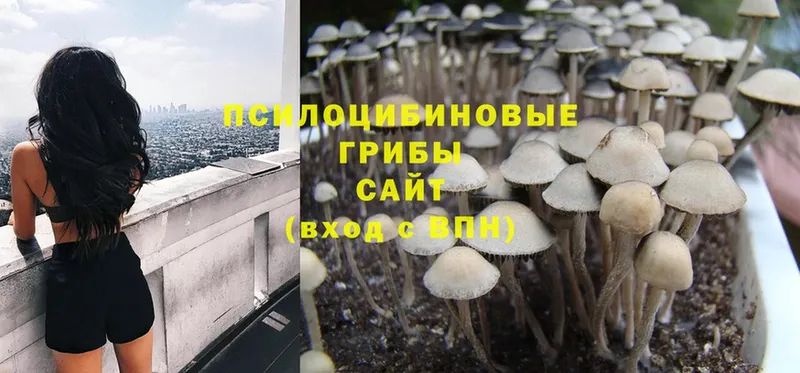 Галлюциногенные грибы MAGIC MUSHROOMS  Электроугли 